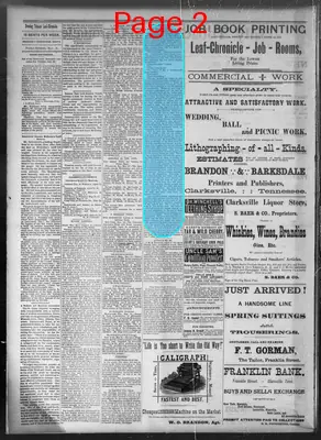 Page thumbnail for Daily Tobacco Leaf Chronicle