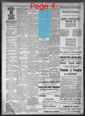 Page thumbnail for Daily Tobacco Leaf Chronicle