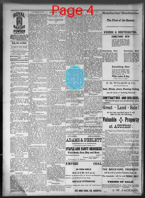 Page thumbnail for Daily Tobacco Leaf Chronicle
