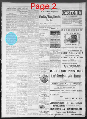 Page thumbnail for Daily Tobacco Leaf Chronicle