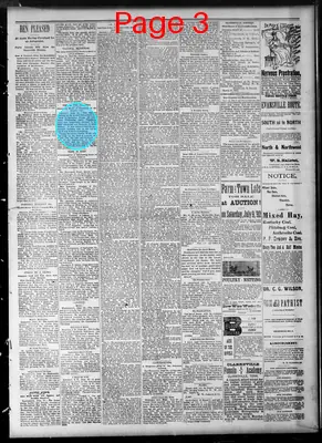 Page thumbnail for Daily Tobacco Leaf Chronicle
