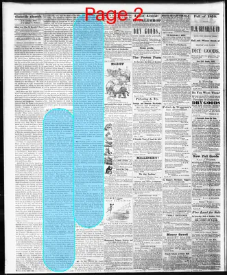 Page thumbnail for Clarksville Chronicle