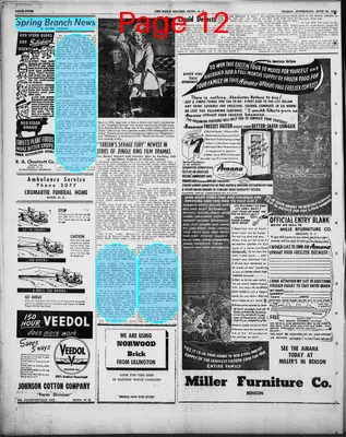 Page thumbnail for The Daily Record