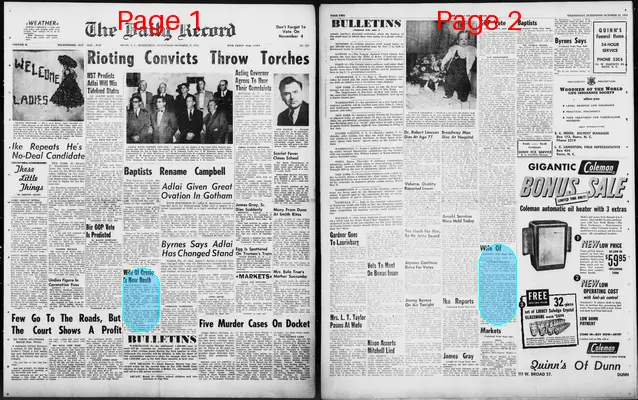 Page thumbnail for The Daily Record
