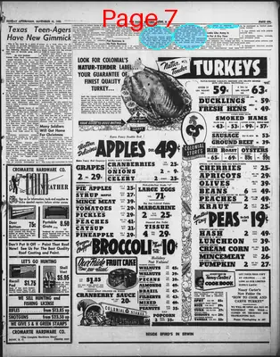 Page thumbnail for The Daily Record