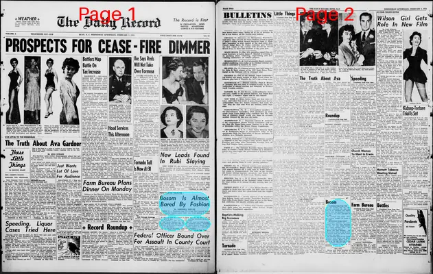 Page thumbnail for The Daily Record