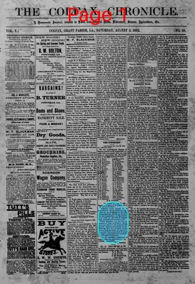 Page thumbnail for The Colfax Chronicle