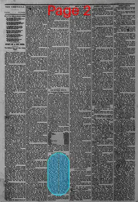 Page thumbnail for The Colfax Chronicle