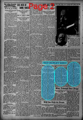 Page thumbnail for The Colfax Chronicle