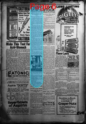 Page thumbnail for The Patriot