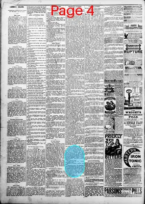 Page thumbnail for Madison Times
