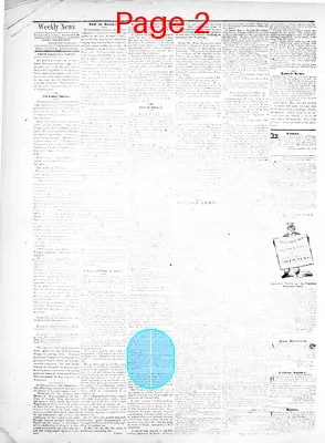 Page thumbnail for Shreveport Weekly News