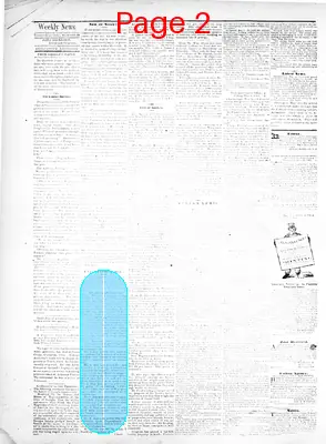Page thumbnail for Shreveport Weekly News
