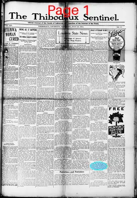 Page thumbnail for The Thibodaux Sentinel