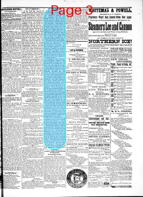 Page thumbnail for Feliciana Sentinel