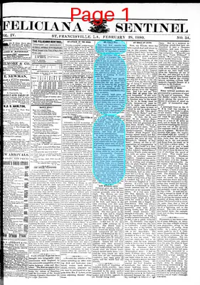 Page thumbnail for Feliciana Sentinel