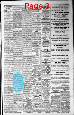 Page thumbnail for Louisiana Capitolian