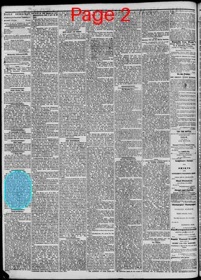 Page thumbnail for The New Orleans Democrat