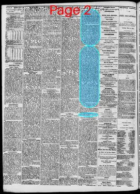Page thumbnail for The New Orleans Democrat