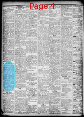 Page thumbnail for The New Orleans Democrat