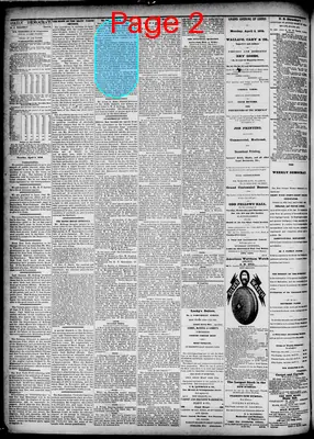 Page thumbnail for The New Orleans Democrat