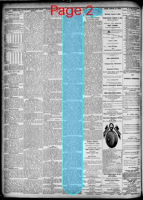 Page thumbnail for The New Orleans Democrat