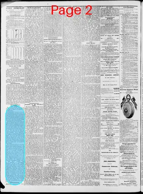 Page thumbnail for The New Orleans Democrat
