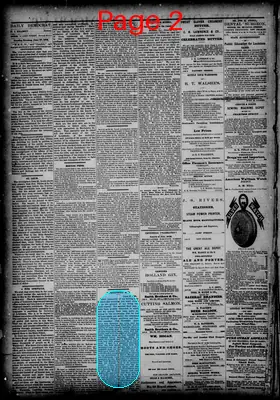Page thumbnail for The New Orleans Democrat