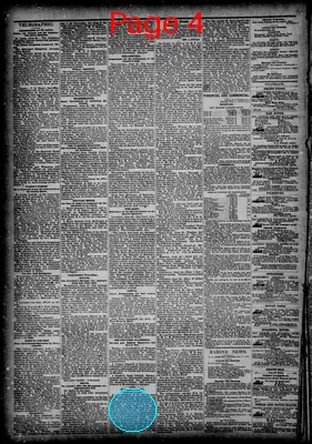Page thumbnail for The New Orleans Democrat