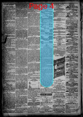 Page thumbnail for The New Orleans Democrat
