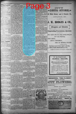 Page thumbnail for Evening Capital