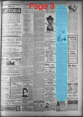 Page thumbnail for Evening Capital