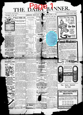 Page thumbnail for The Daily Banner