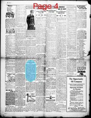 Page thumbnail for The Daily Banner