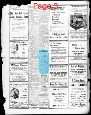 Page thumbnail for The Daily Banner