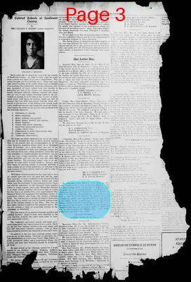 Page thumbnail for Afro American Courier