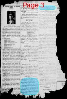 Page thumbnail for Afro American Courier