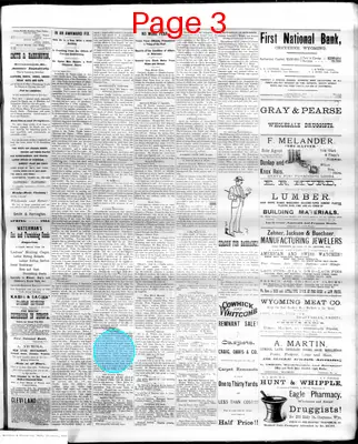 Page thumbnail for The Democratic Leader