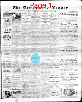 Page thumbnail for The Democratic Leader