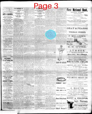 Page thumbnail for The Democratic Leader