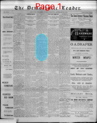 Page thumbnail for The Democratic Leader