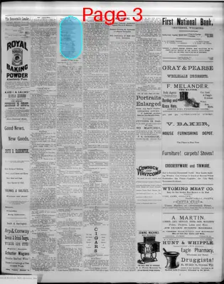 Page thumbnail for The Democratic Leader
