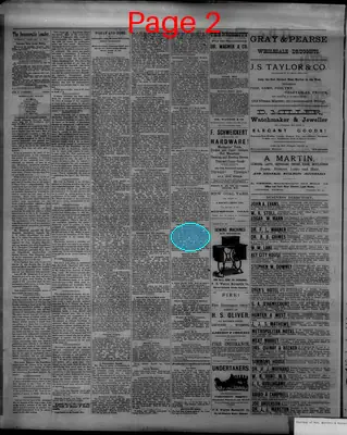 Page thumbnail for The Democratic Leader