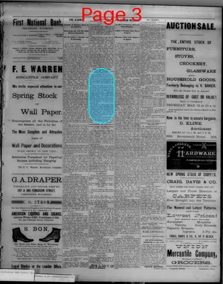 Page thumbnail for The Democratic Leader