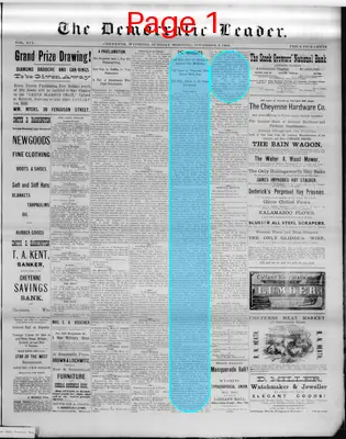 Page thumbnail for The Democratic Leader