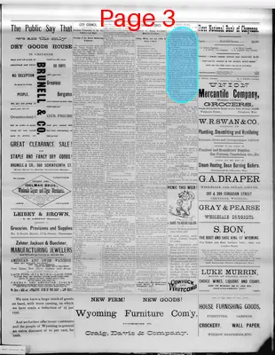 Page thumbnail for The Democratic Leader