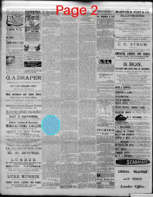 Page thumbnail for The Democratic Leader