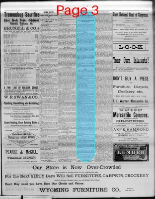 Page thumbnail for The Democratic Leader