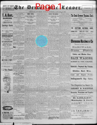 Page thumbnail for The Democratic Leader