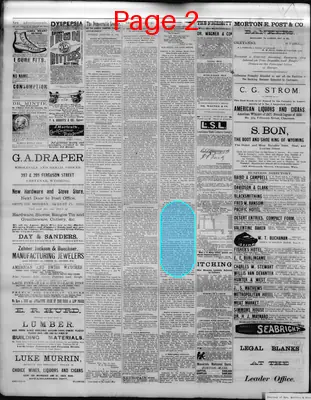 Page thumbnail for The Democratic Leader